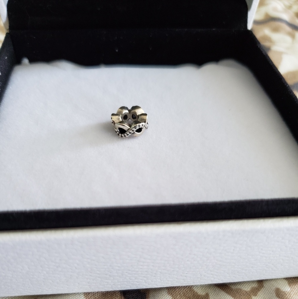 Pandora charm